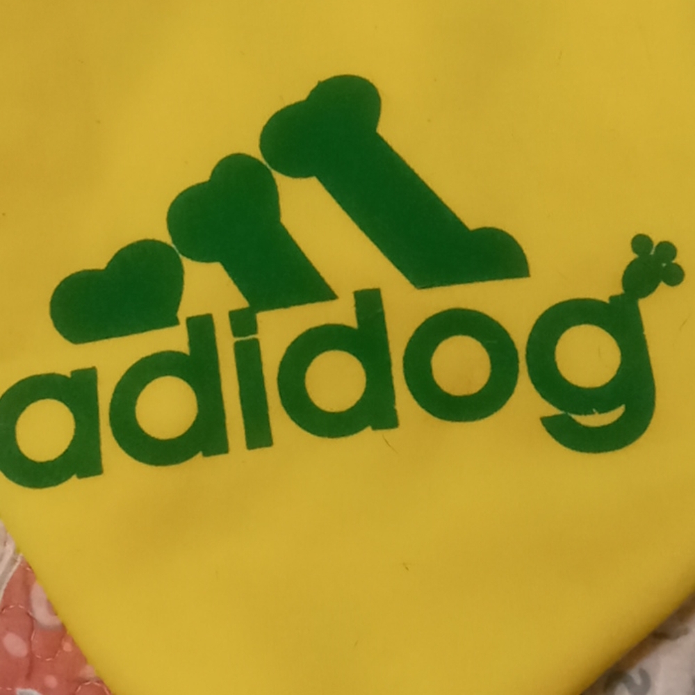 Dog coat - Picture 3 of 3